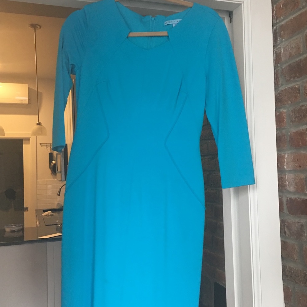 Antonio Melani Sheath Dress